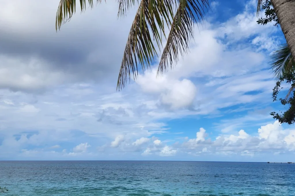 A view of a blue tropical ocean framed by green palm tree leaves under a dynamic sky filled with white and grey clouds