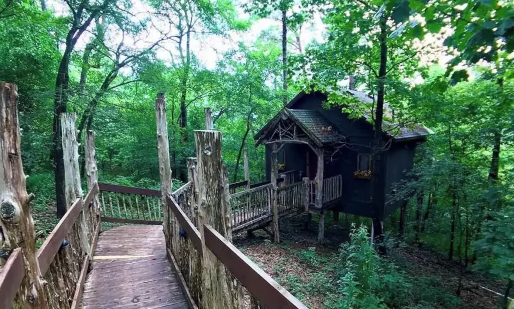 Exterior design of Winery Chateau