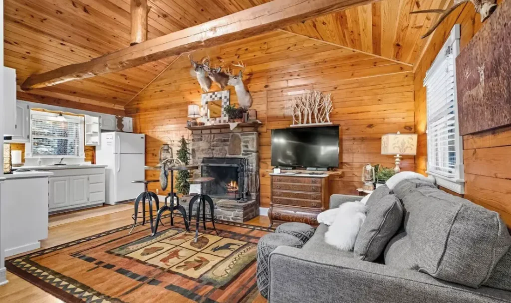 Living room and kitchen area