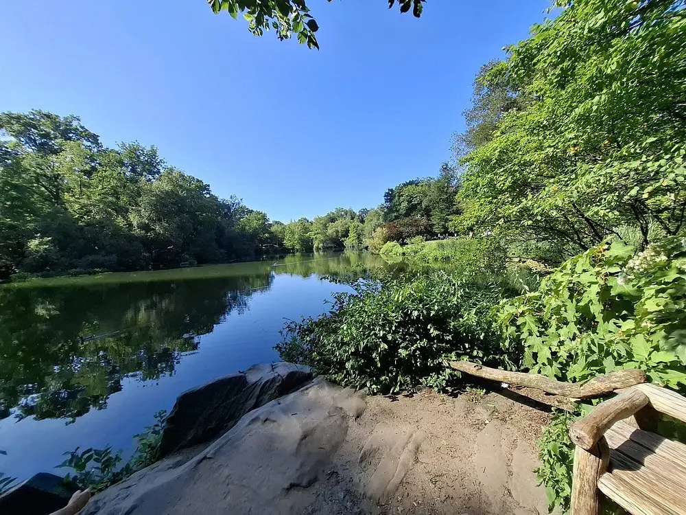 A calm pond surrounded by trees in Central Park, New York City.