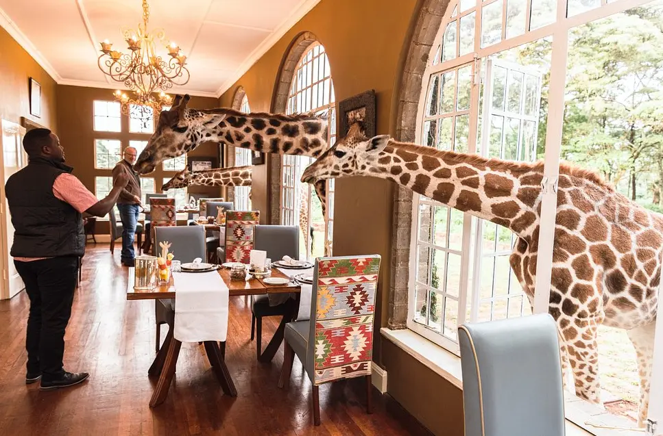 Giraffe Manor