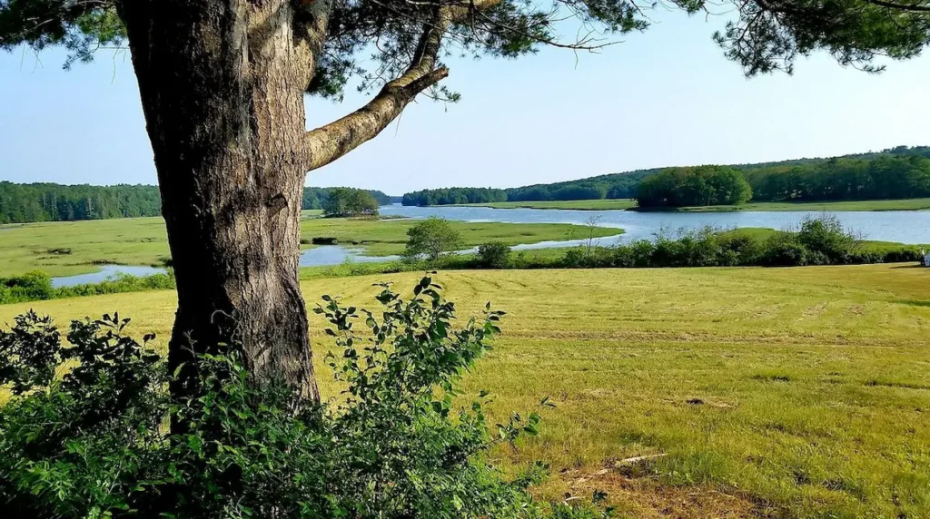 Grassy field at Chewonki Campground, Wiscasset, Maine