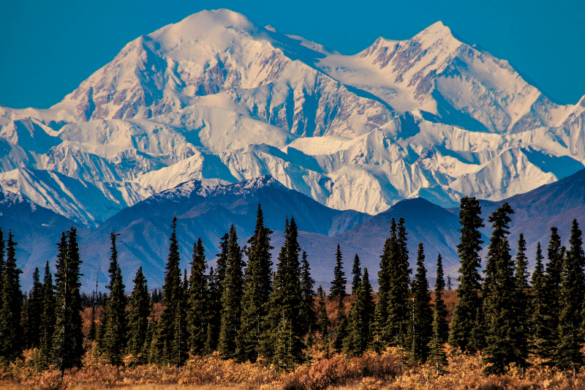 The 7 Top Airlines to Book for Your Trip to Alaska