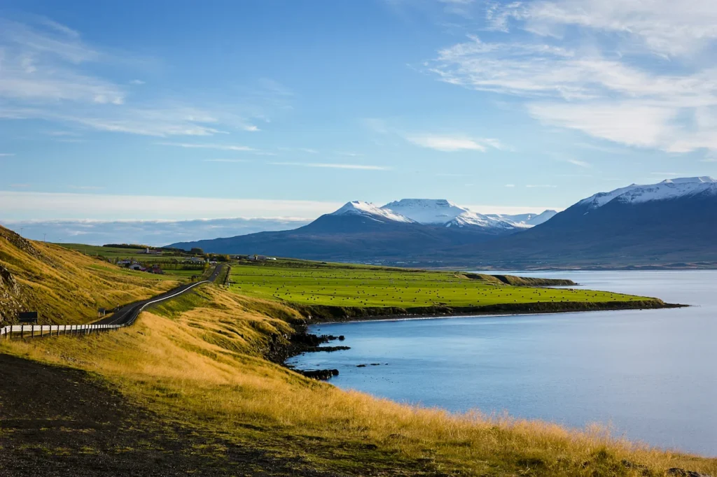 Coastal road winding alongside green pastures and snow-capped mountains in Iceland