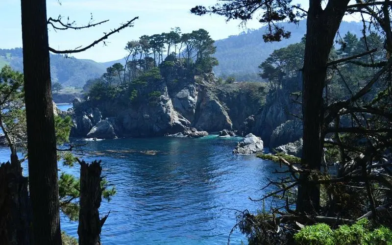 Rocky cliffs and trees overlooking blue water at Point Lobos State Natural Reserve.