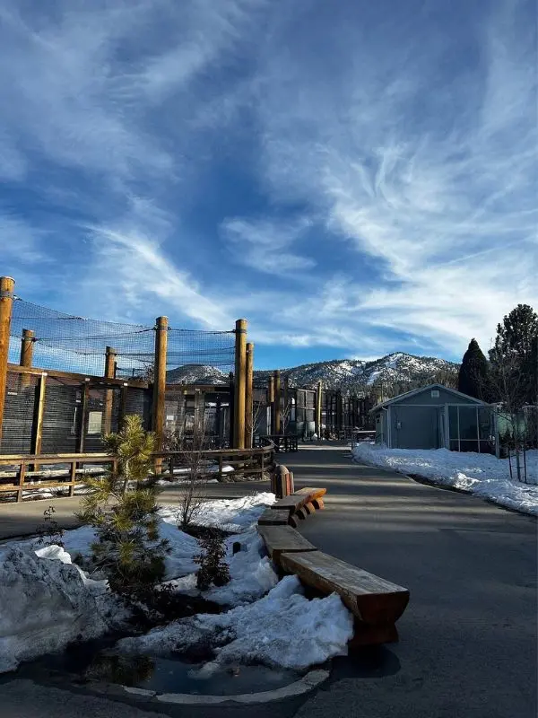 Outdoor enclosures sit against snowy mountains at Big Bear Alpine Zoo.