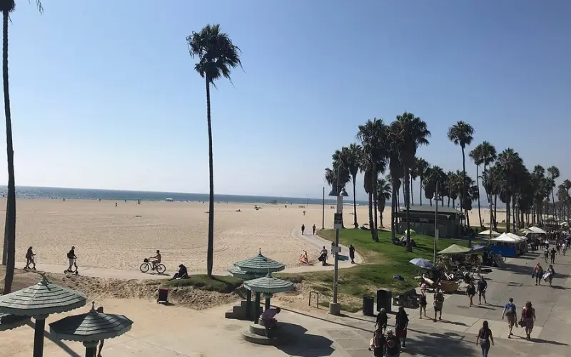 People walking and biking along the Venice Beach Boardwalk lined with palm trees.