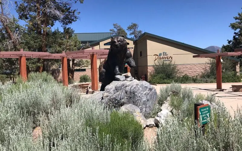 A bear statue stands in front of the Big Bear Discovery Center.