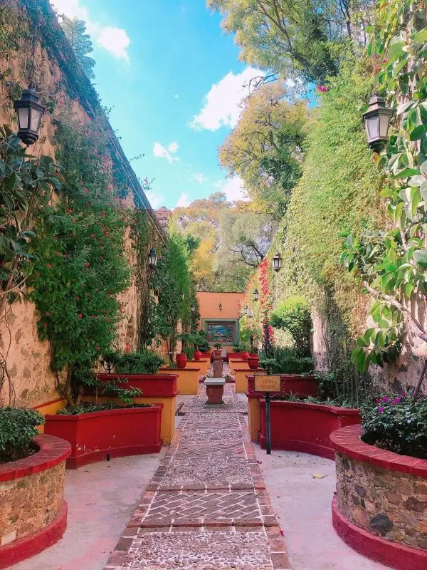 A garden walkway with plants and fountains is shown in Guanajuato City.
