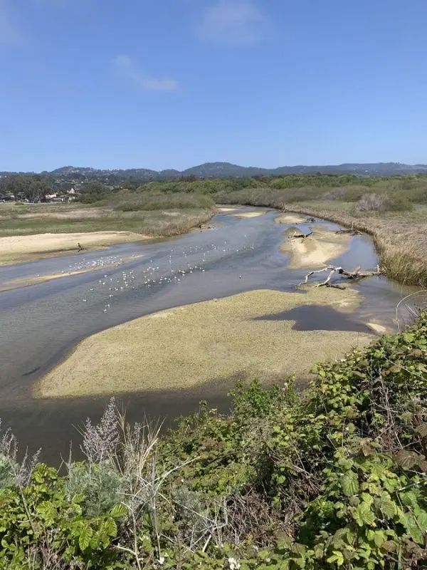 Carmel River Bird Sanctuary with a winding waterway and birds on sandbars.