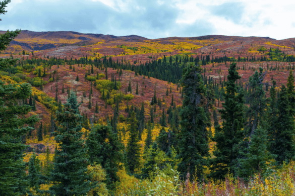 Best Things to Do in the Poconos, PA