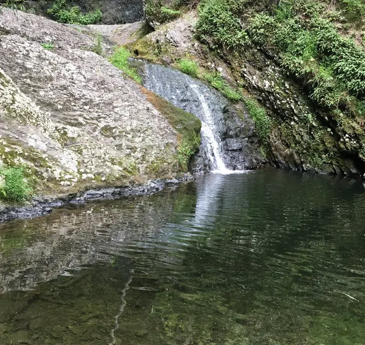 Pocono Environmental Education Center