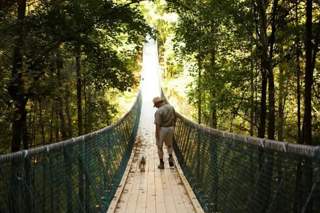 Hiking & Swinging Bridge Family Adventure