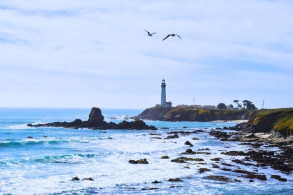 Where to Go in Big Sur, California: 12 Amazing Experiences