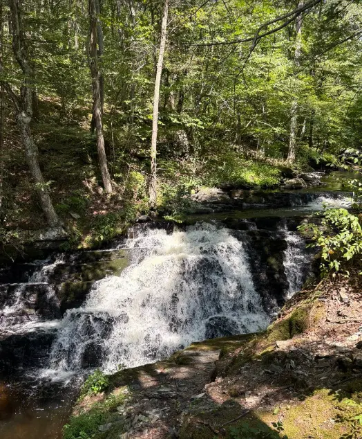Bushkill Falls