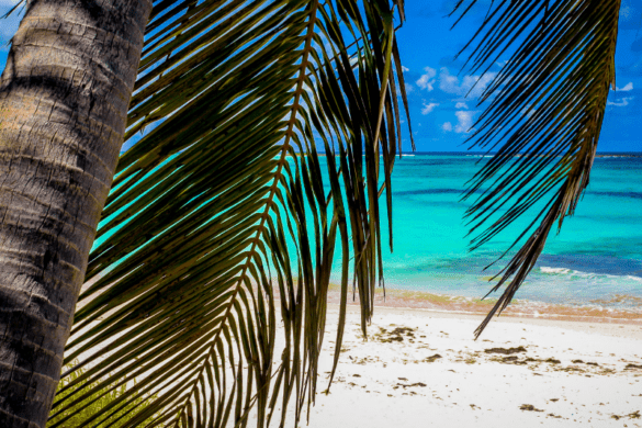 Top 5 Airports in the Bahamas for a Smooth Island Getaway