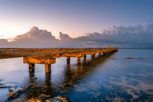 7 Top-Rated Airlines that Fly to Key West in 2025-2026