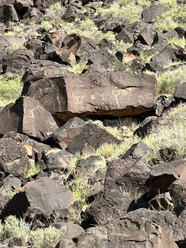 Petroglyph National Monument shows ancient rock carvings on desert boulders.