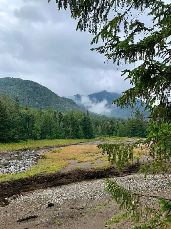 Misty clouds hang over the forested peaks of Mount Marcy on a cloudy day.