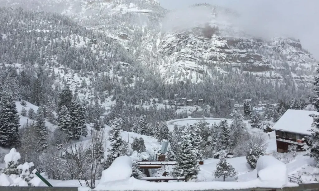 Snow-covered trees and mountains at Ouray Ice Park on a cloudy winter day.