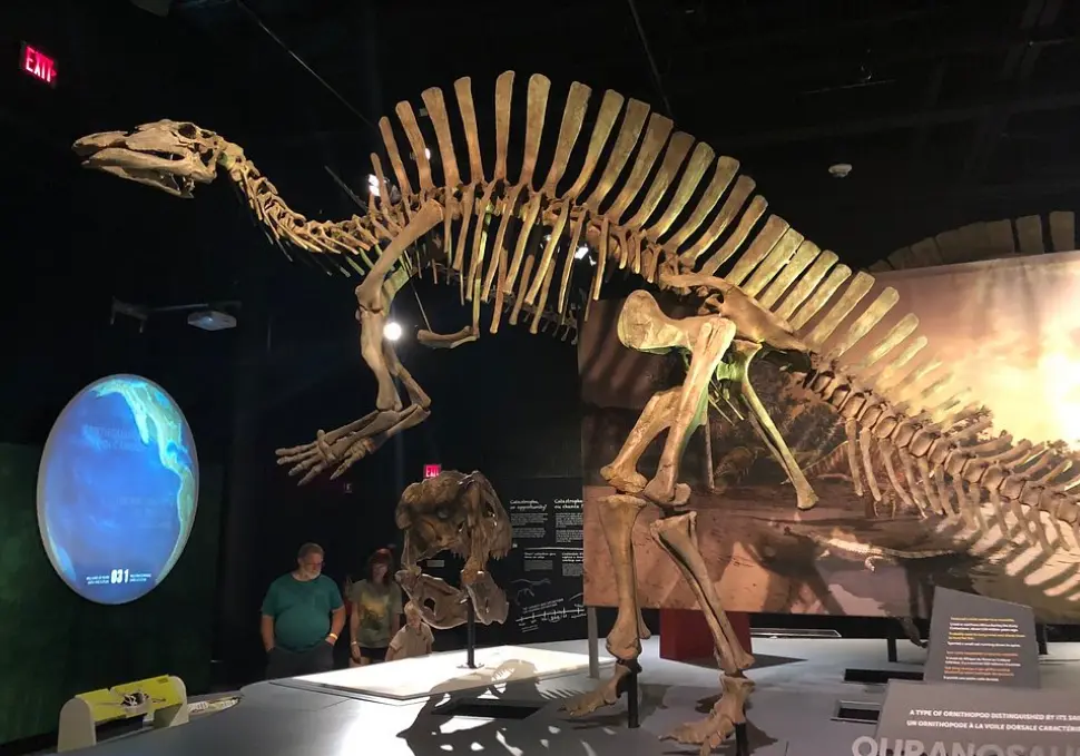 Discovery Place Science