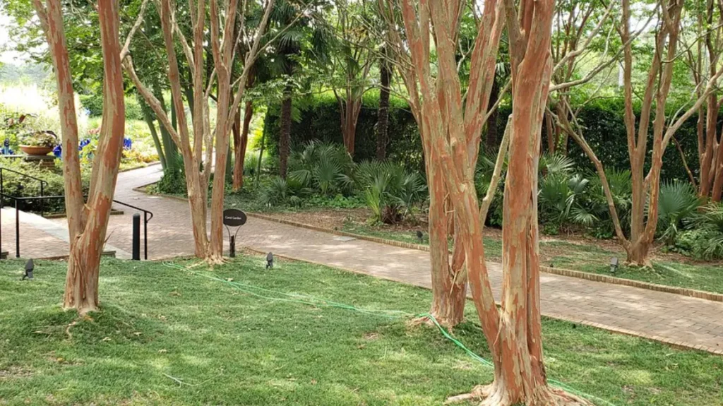 Daniel Stowe Botanical Garden