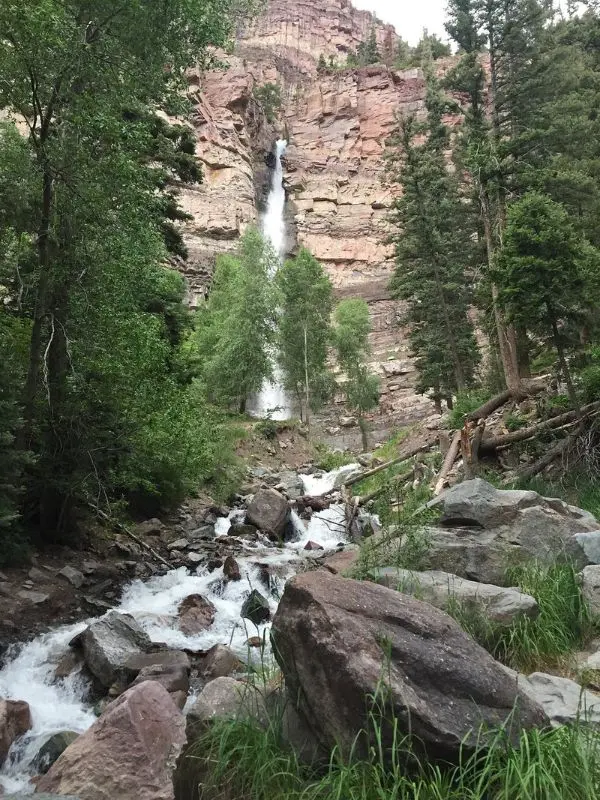 Water rushes down the tall Cascade Falls surrounded by trees and rocks.