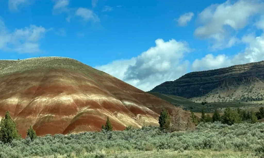 Vibrant red and tan hills standing out against a blue sky at Painted Hills.