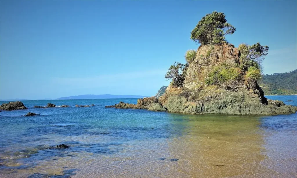 Clear blue water and a rocky islet with vegetation along the shore of The Coromandel Peninsula.