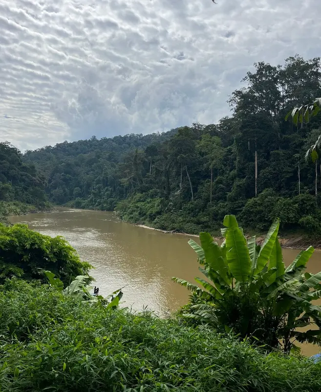 Taman Negara National Park