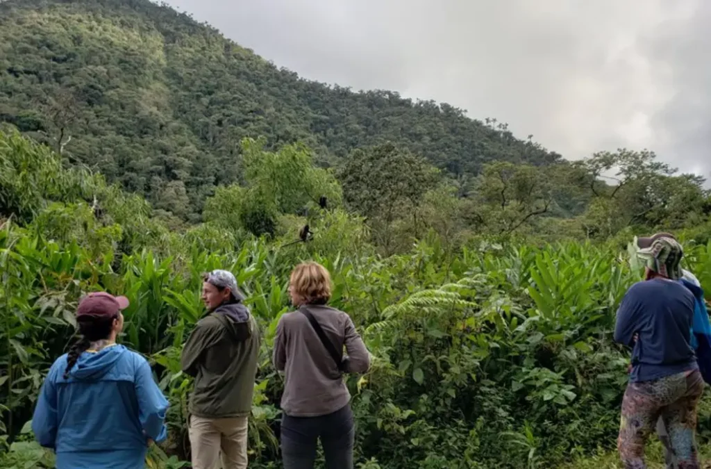 Manu National Park Tour