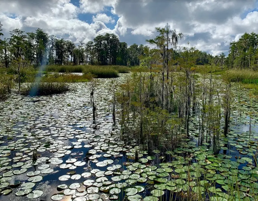 Tibet-Butler Preserve