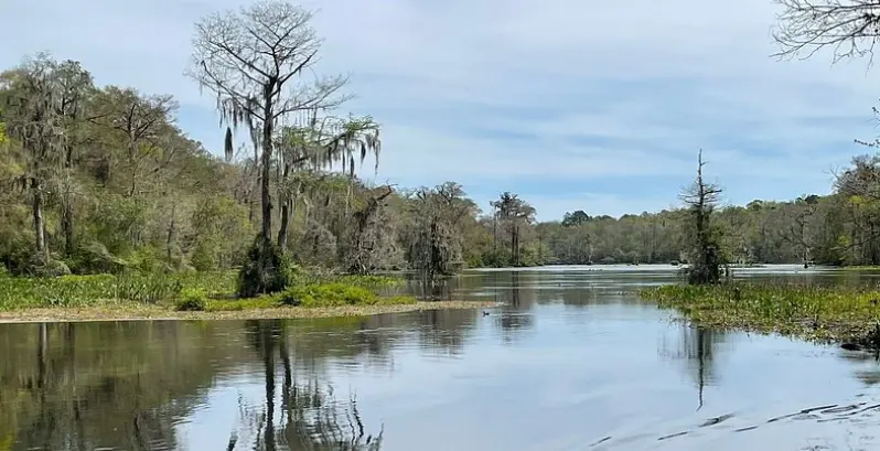 Edward Ball Wakulla Springs State Park