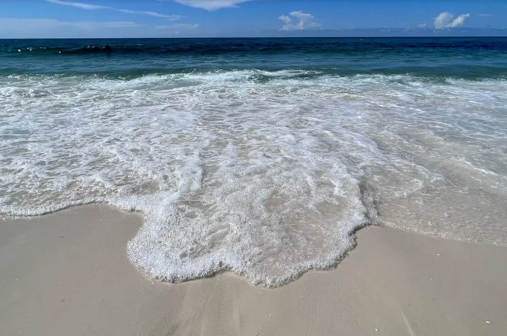 Navarre Beach Marine Sanctuary