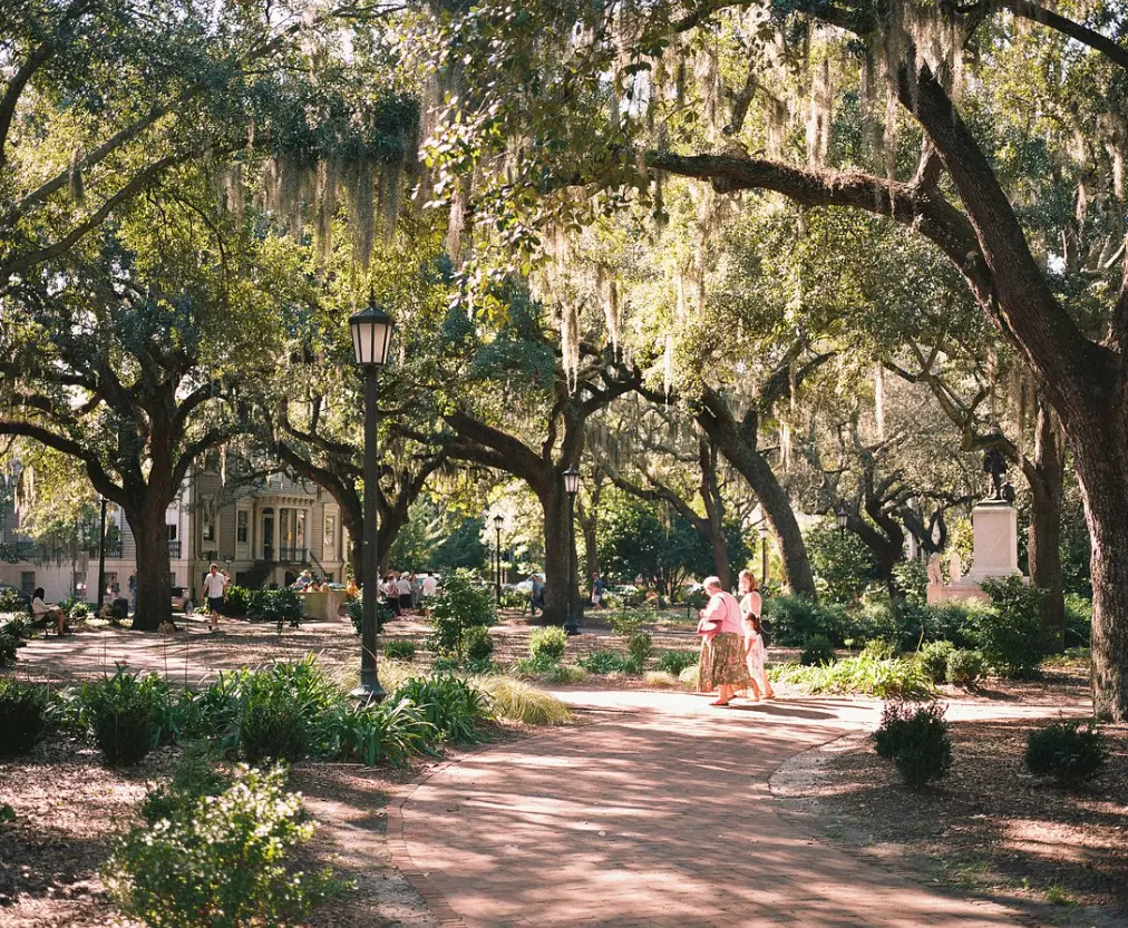 Savannah