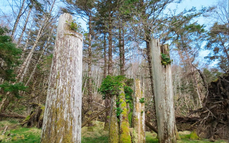 Gwaii Haanas National Park Reserve is among the most beautiful places in North America