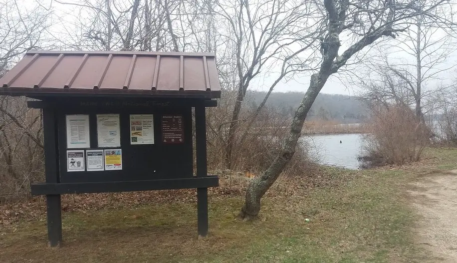 Mark Twain National Forest