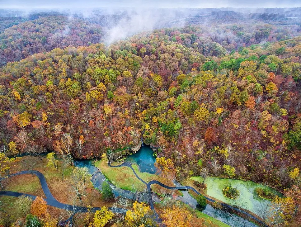 Fall leaves at Dogwood Canyon Nature Park