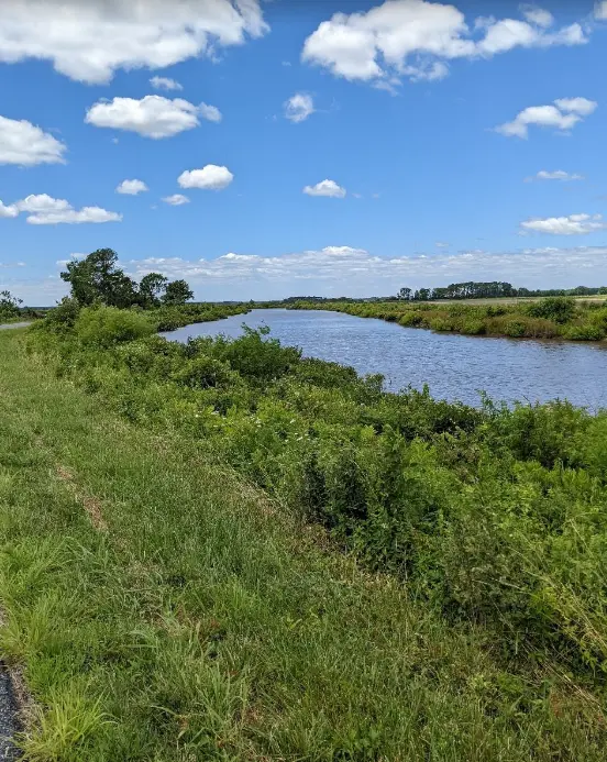 Blackwater National Wildlife Refuge