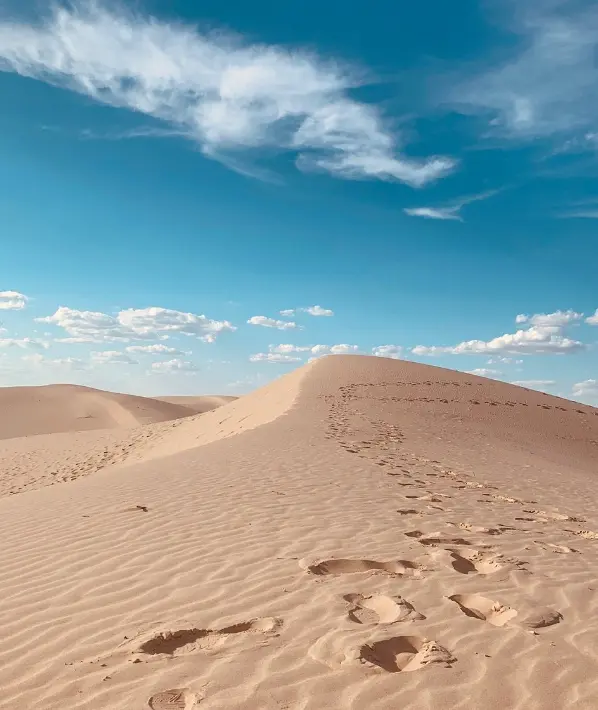 Monahans Sandhills State Park