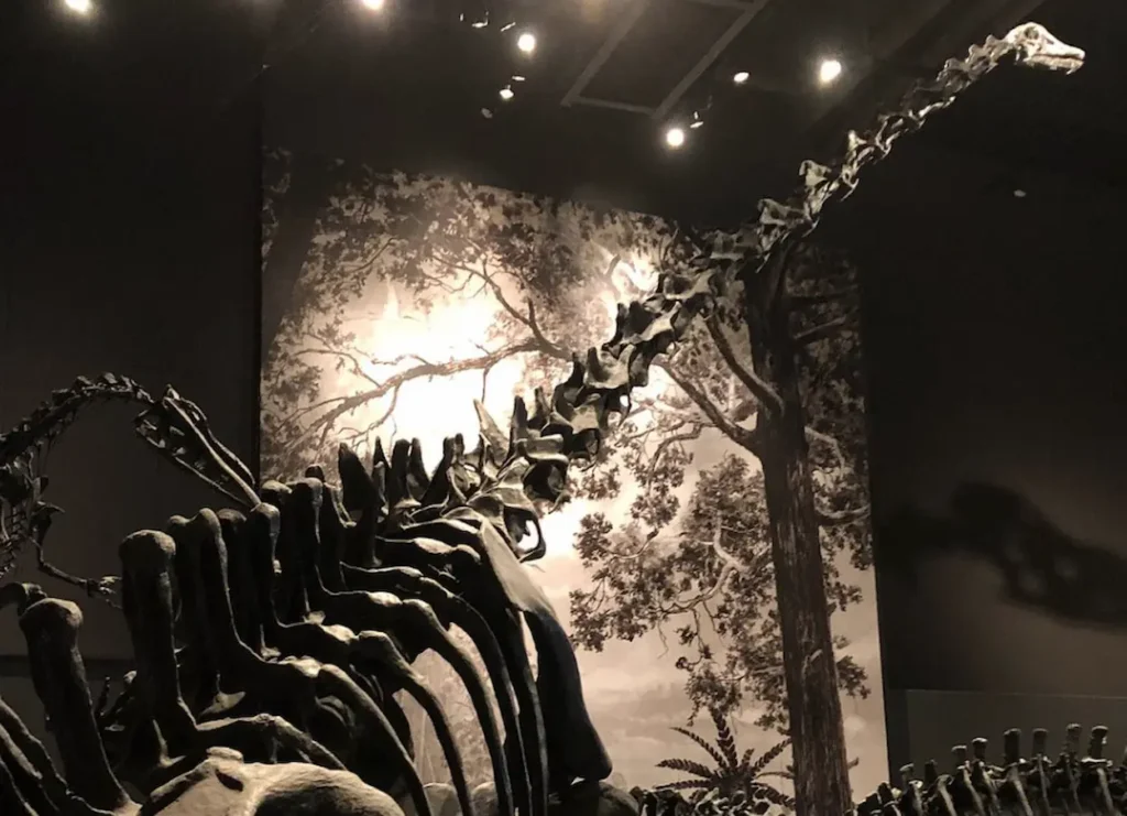 Natural History Museum of Utah