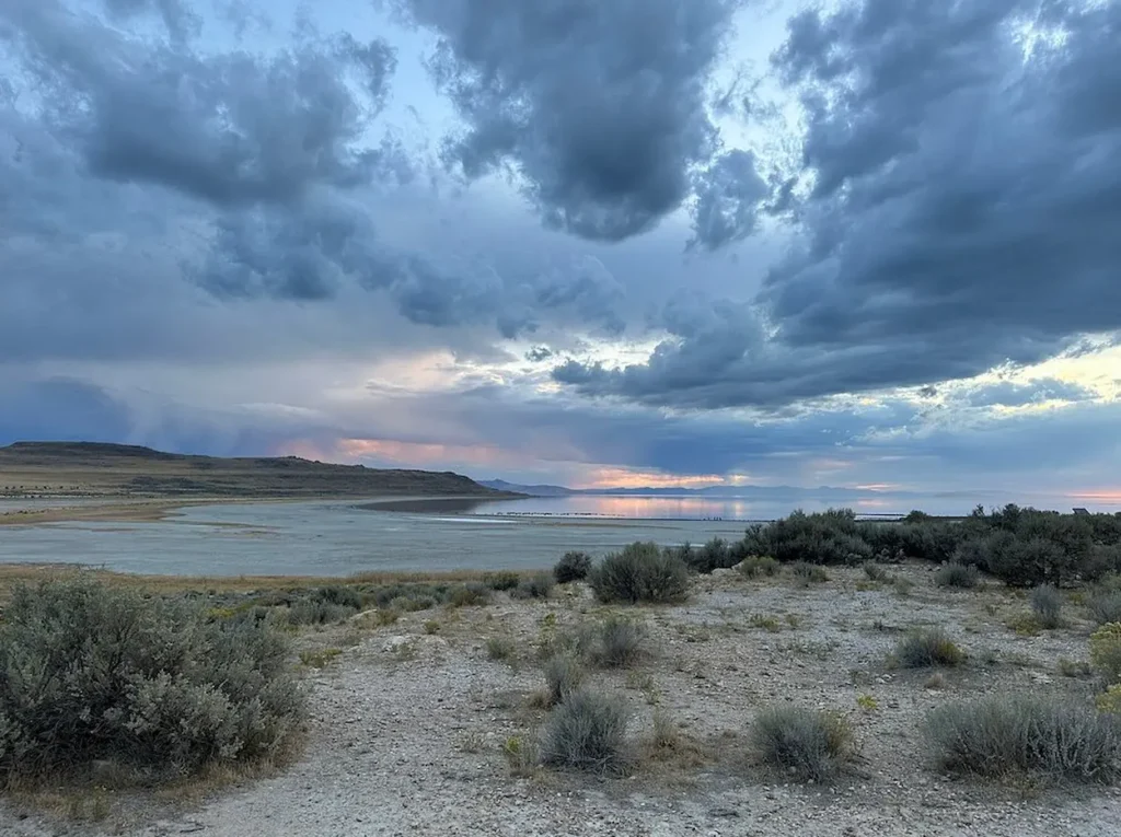 Great Salt Lake Wildlife Experience