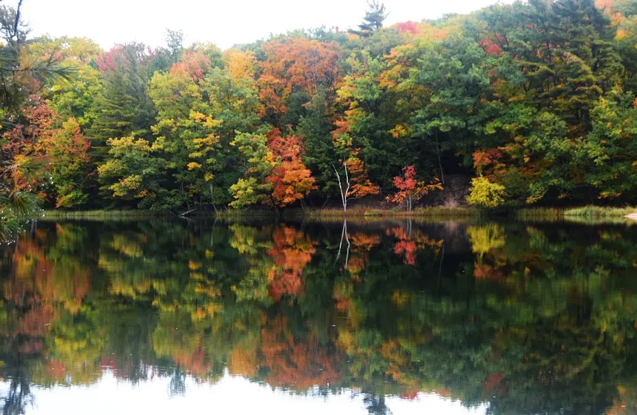 Ludington State Park