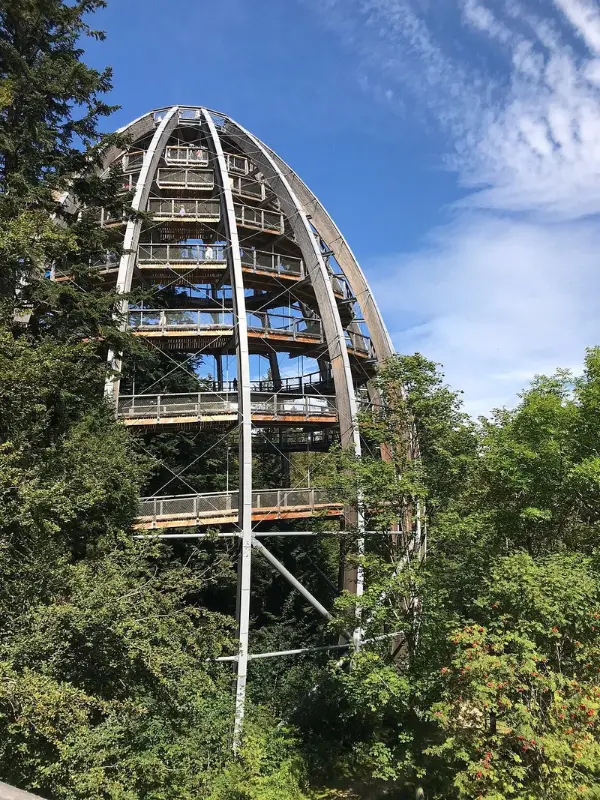 Bavarian Forest National Park features a large wooden treetop walkway rising above the forest.