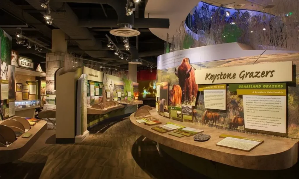 An indoor exhibit with educational displays at Flint Hills.