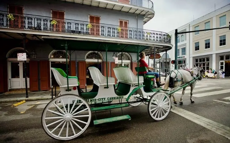 Horse-drawn carriage passing historic buildings in New Orleans.