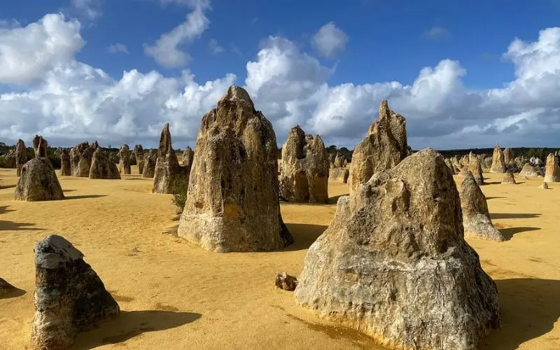 Weathered limestone pillars rising from the yellow sand at The Pinnacles in Nambung National Park.