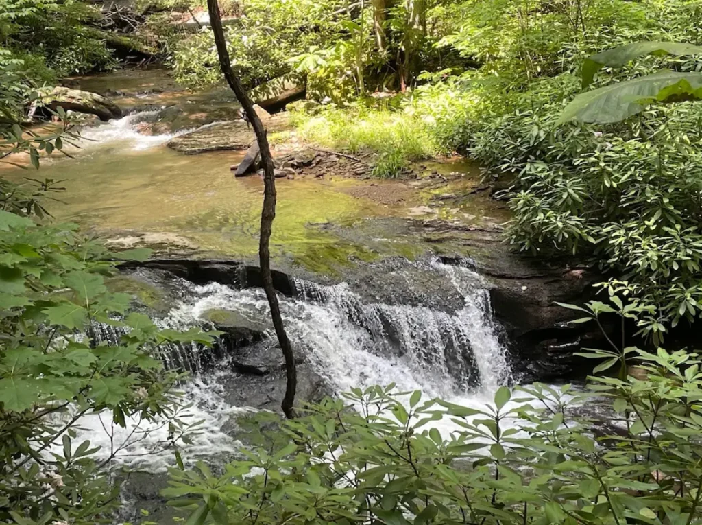 Holly River State Park