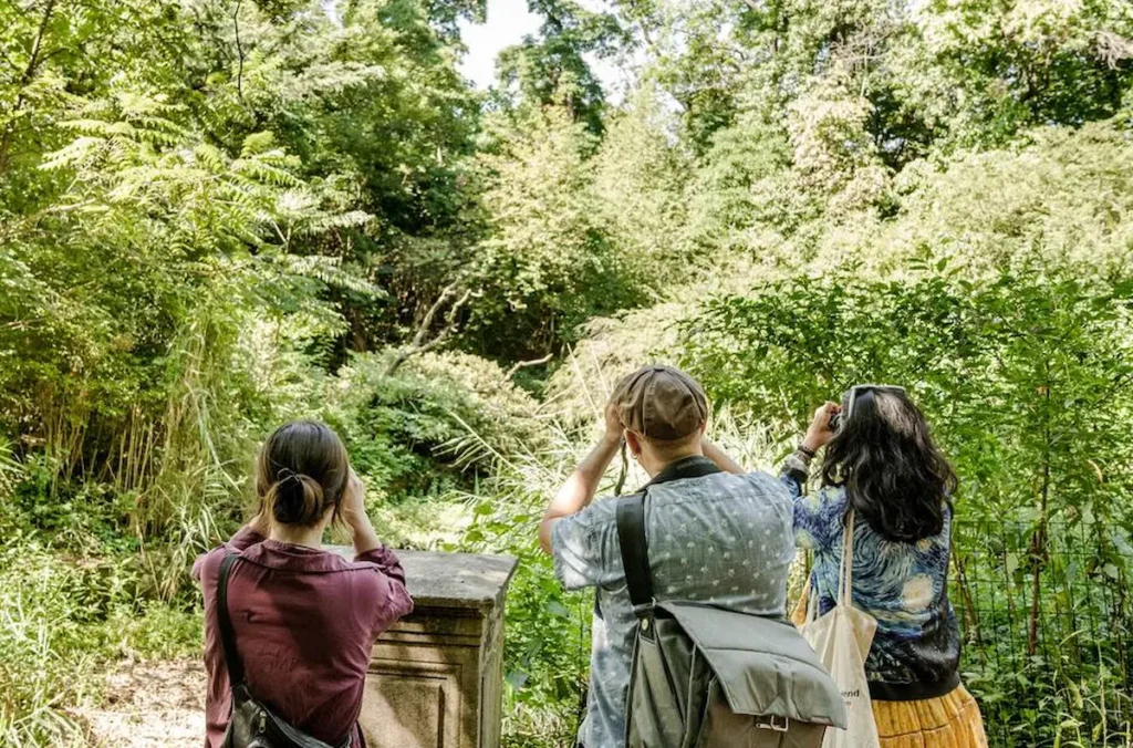 Go birding in Central Park & learn about ecology