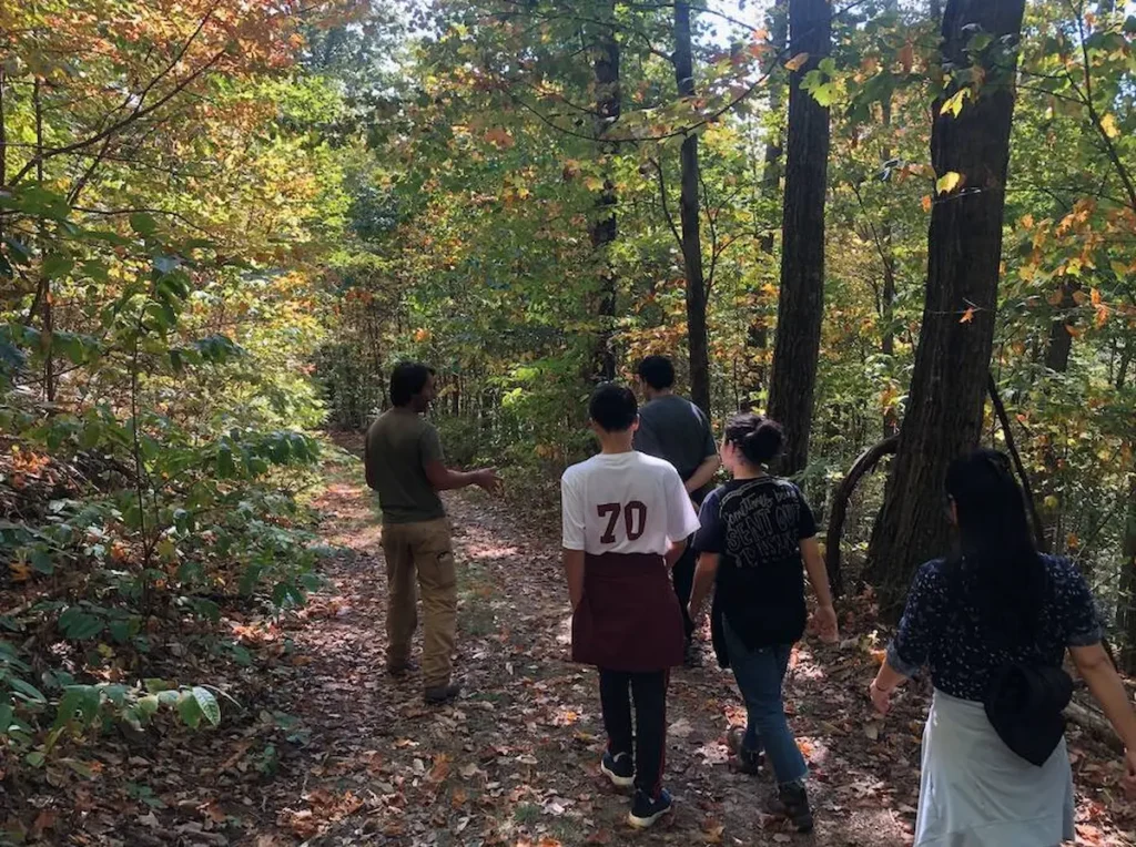 Tour a West Virginia homestead